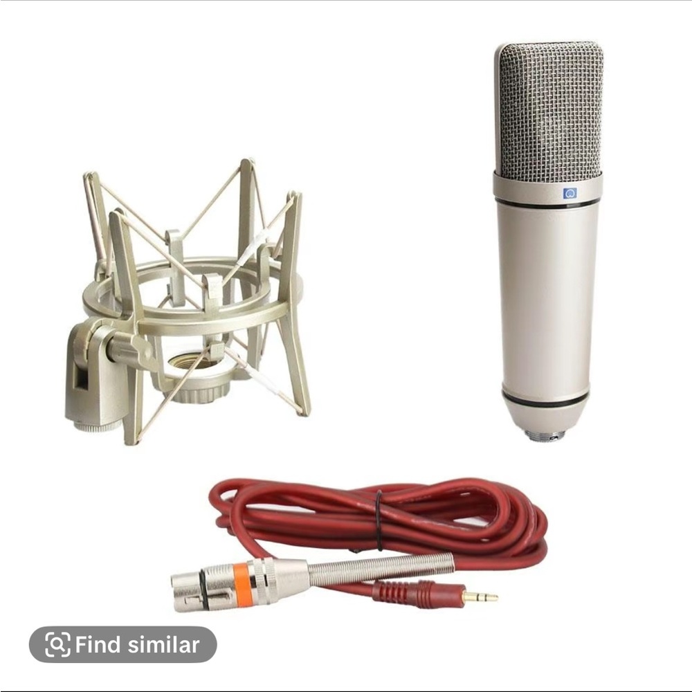 Professional Silver Microphone with Shock Mount